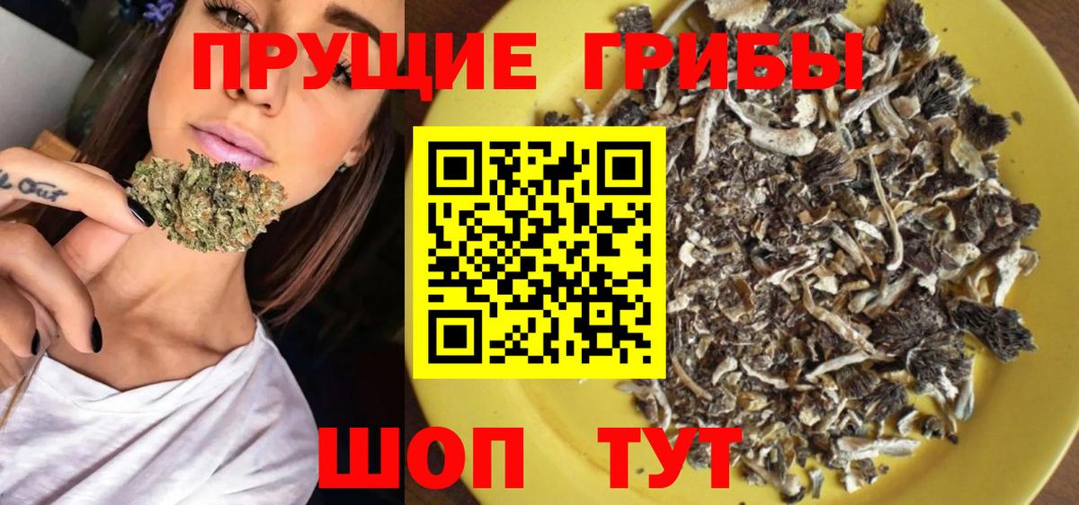 Псилоцибиновые грибы GOLDEN TEACHER Бутурлиновка