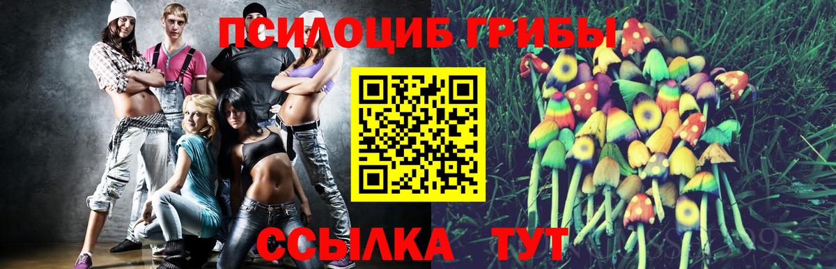 Галлюциногенные грибы Cubensis  Галлюциногенные грибы GOLDEN TEACHER  Вход с VPN  Бутурлиновка 